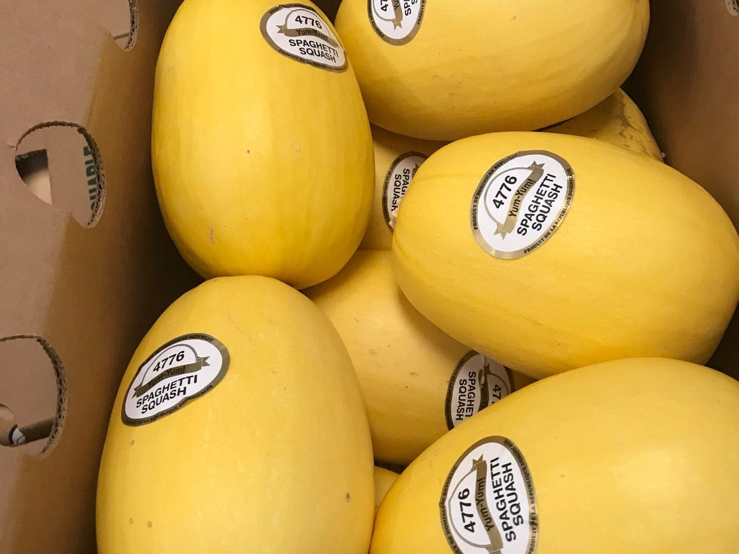 Hard & Winter Squash grown by Southern Corporate Packers