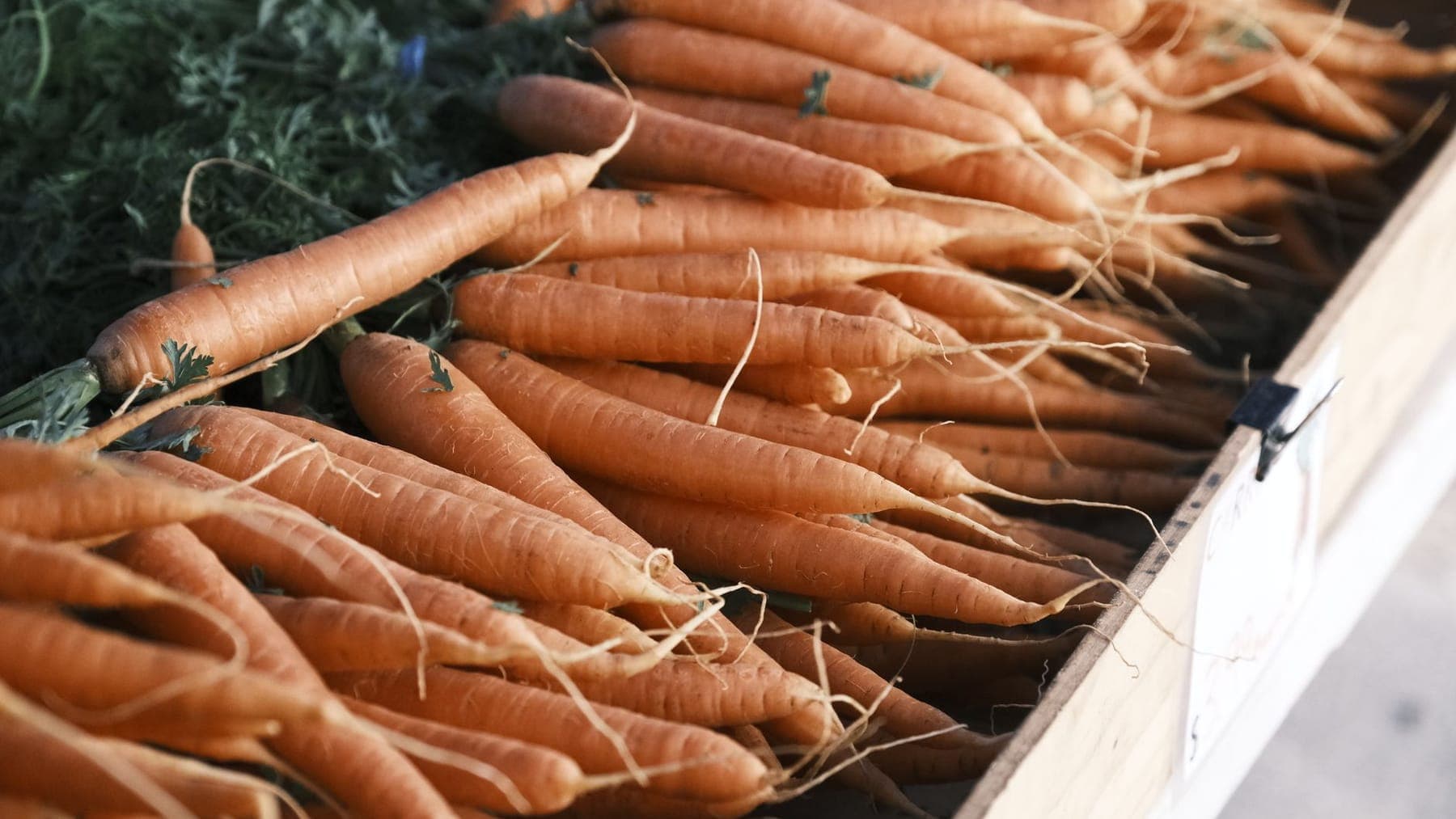 Carrots & Root Vegetables shipped by Southern Corporate Packers