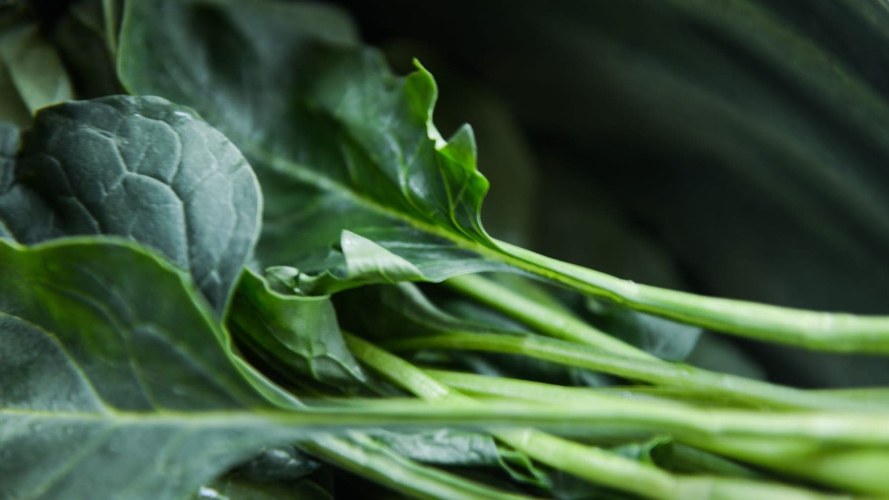 Collard & Southern Greens shipped by Southern Corporate Packers
