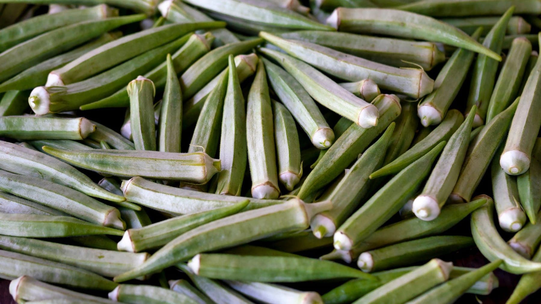 Okra shipped by Southern Corporate Packers