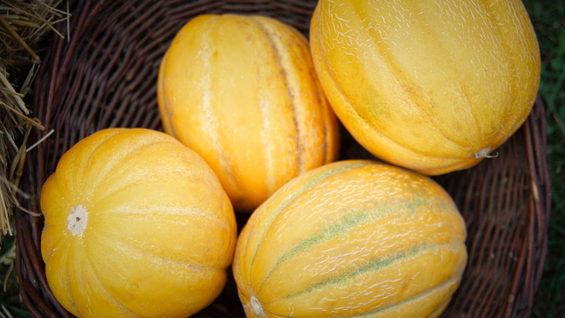 Specialty Melons shipped by Southern Corporate Packers
