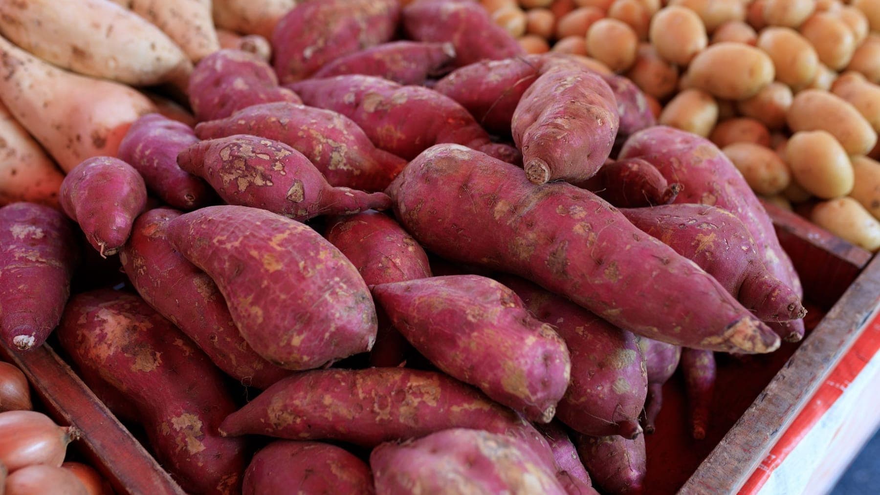 Sweet Potatoes shipped by Southern Corporate Packers