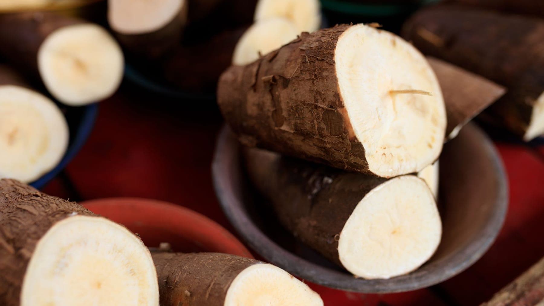 Yuca & Boniato shipped by Southern Corporate Packers